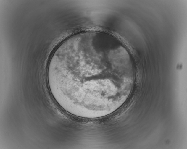 X0000094070721200711091151