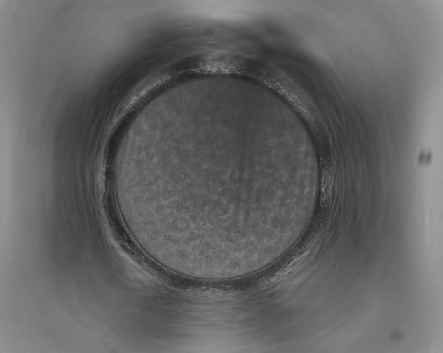 X0000094070722200711091151