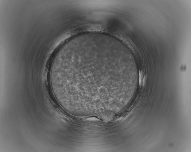 X0000094070723200711091151