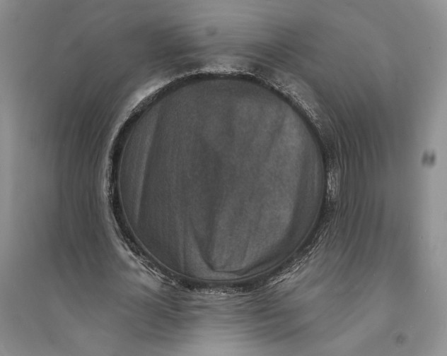 X0000094070724200711091151