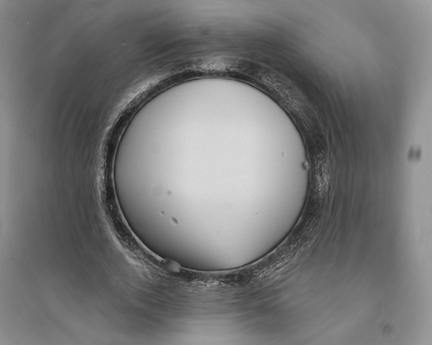 X0000094070728200711091151