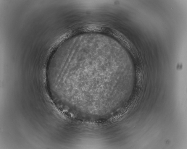 X0000094070729200711091151