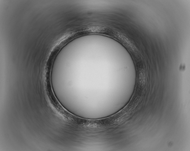 X0000094070730200711091151