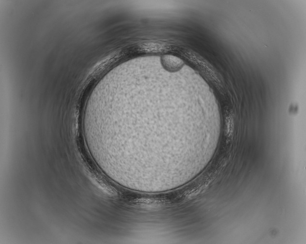 X0000094070733200711091151