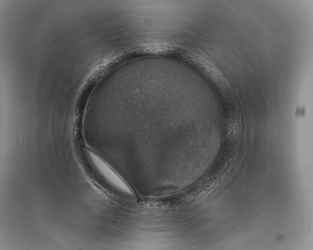 X0000094070736200711091151