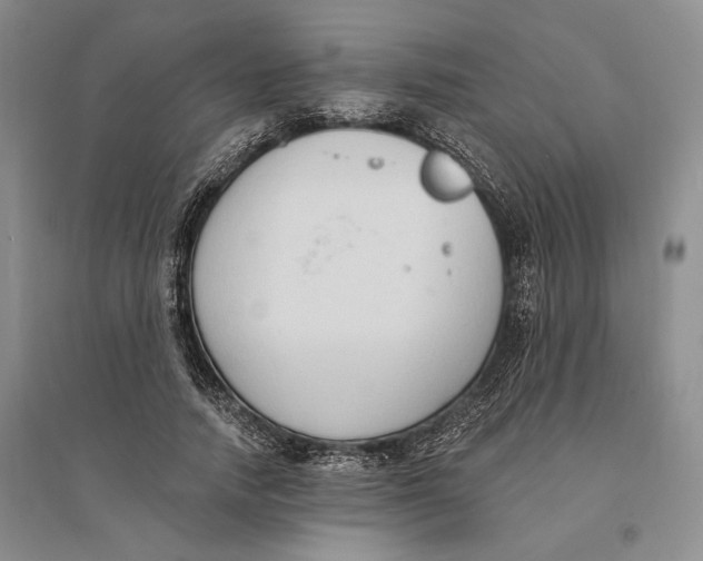 X0000094070738200711091151