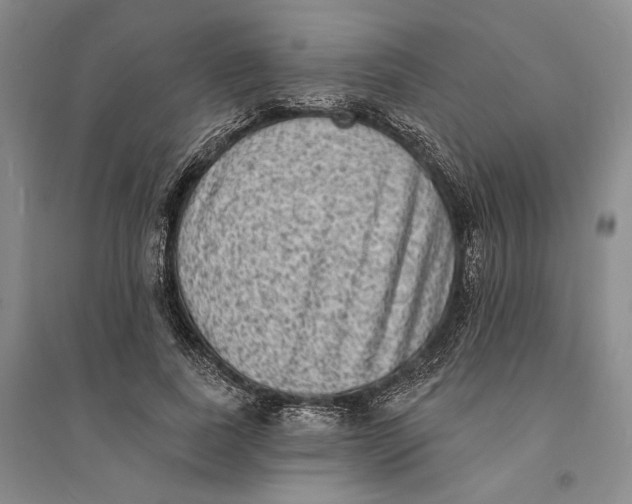 X0000094070739200711091151