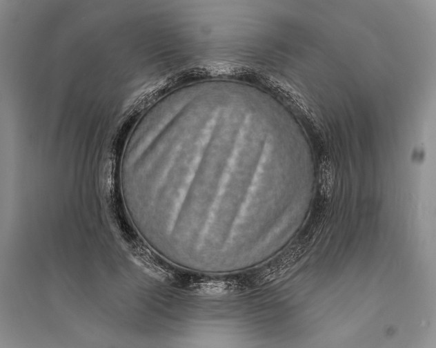 X0000094070740200711091151