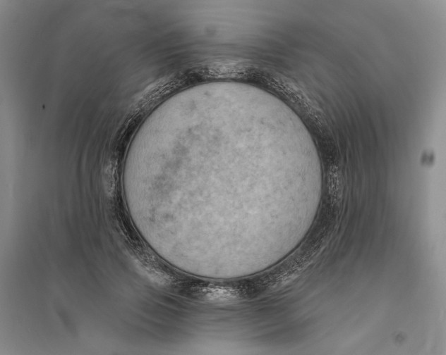 X0000094070741200711091151