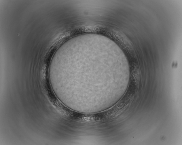 X0000094070744200711091151