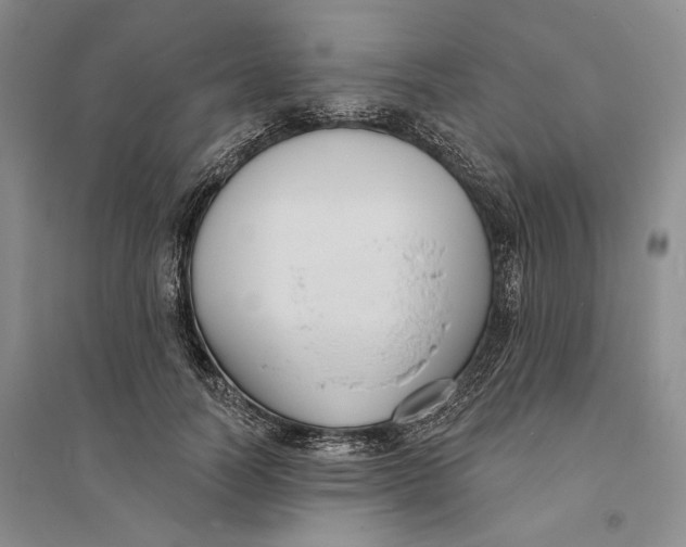 X0000094070746200711091151