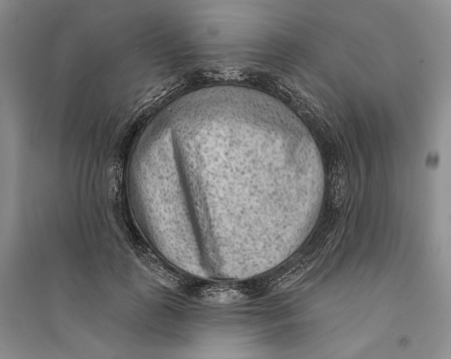 X0000094070747200711091151