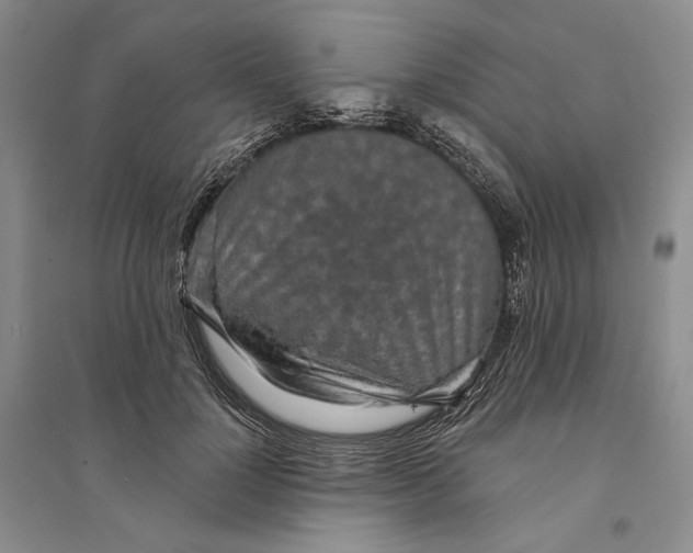X0000094070748200711091151