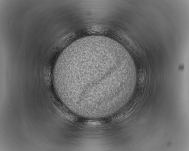 X0000094070749200711091151