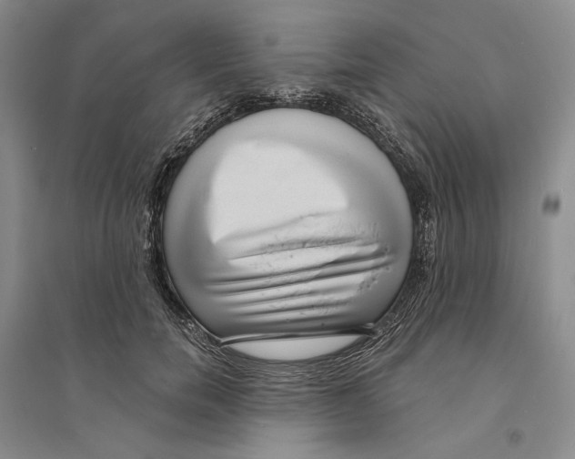 X0000094070750200711091151