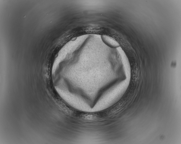 X0000094070755200711091151