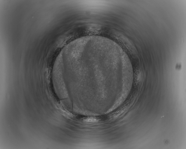 X0000094070759200711091151