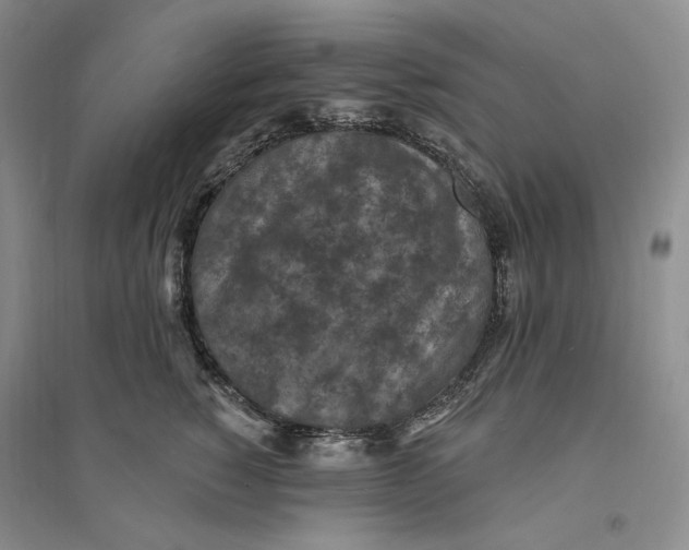 X0000094070760200711091151