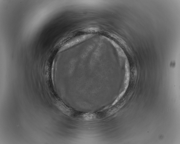 X0000094070762200711091151