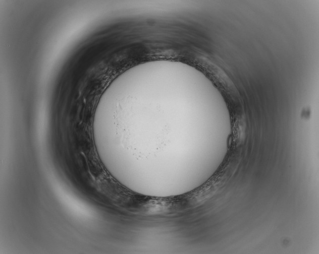 X0000094070764200711091151