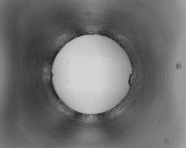 X0000094070768200711091151