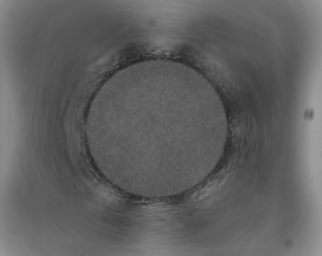 X0000094070769200711091151