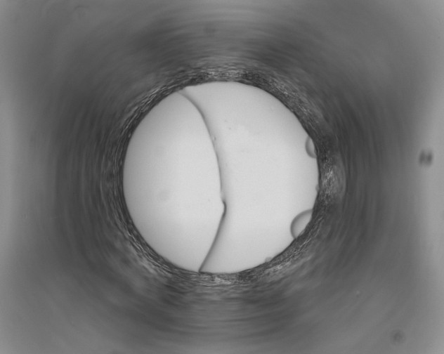 X0000094070772200711091151