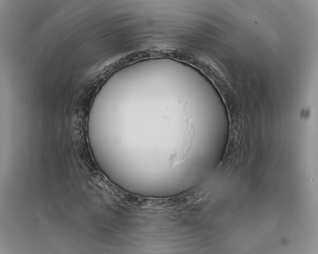 X0000094070773200711091151