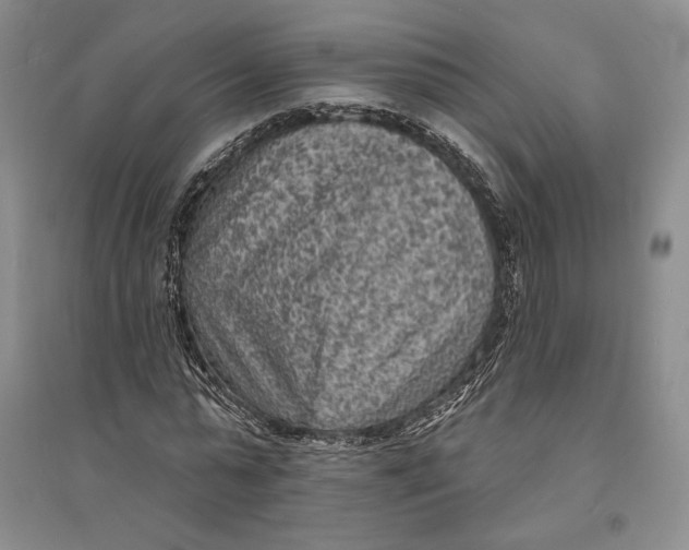X0000094070775200711091151