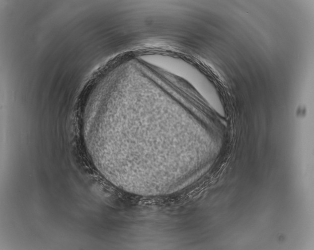 X0000094070776200711091151