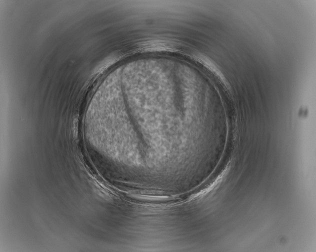 X0000094070777200711091151