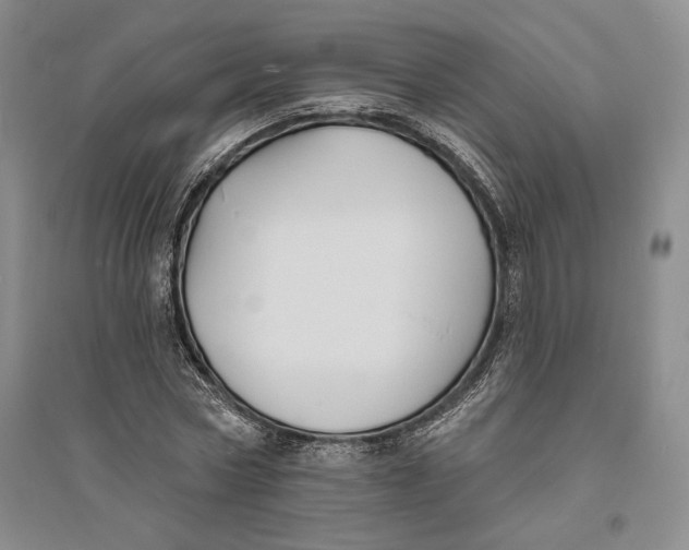 X0000094070778200711091151