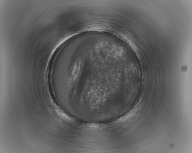 X0000094070779200711091151