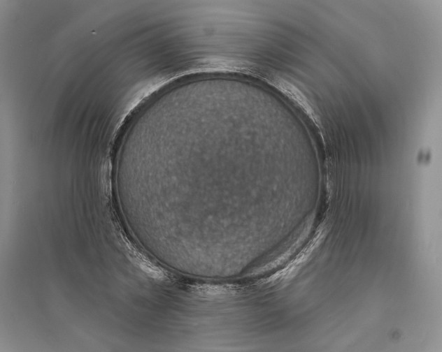 X0000094070781200711091150