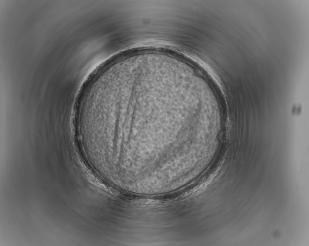 X0000094070783200711091150