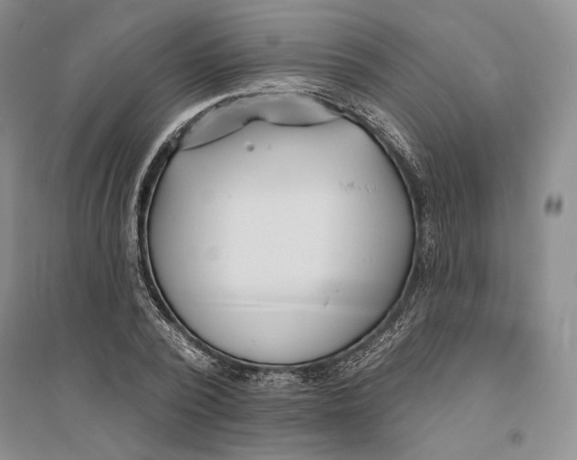 X0000094070784200711091150