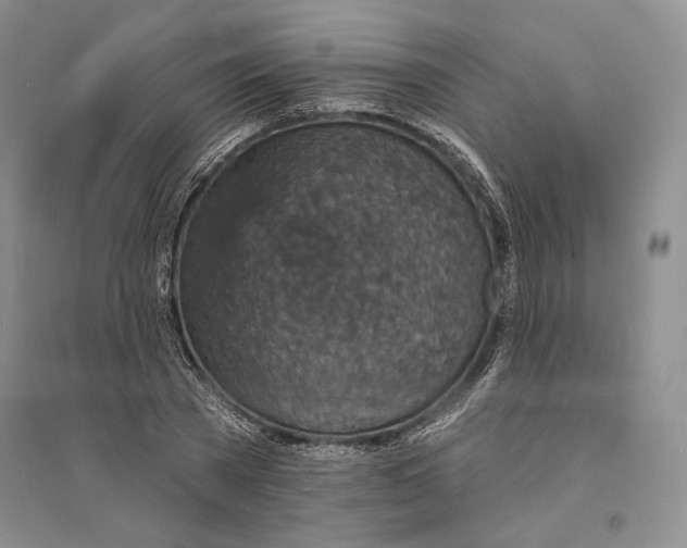 X0000094070785200711091150