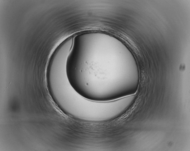 X0000094070788200711091150