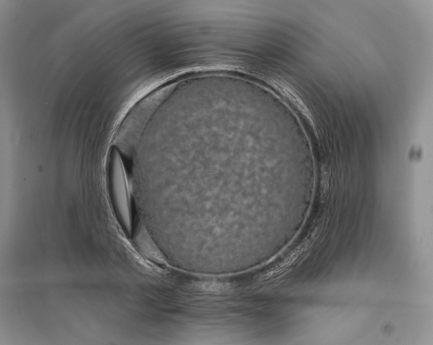 X0000094070789200711091150