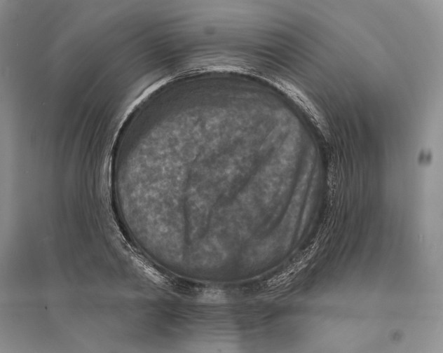 X0000094070790200711091150