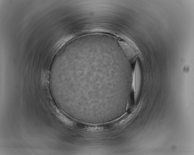 X0000094070793200711091150