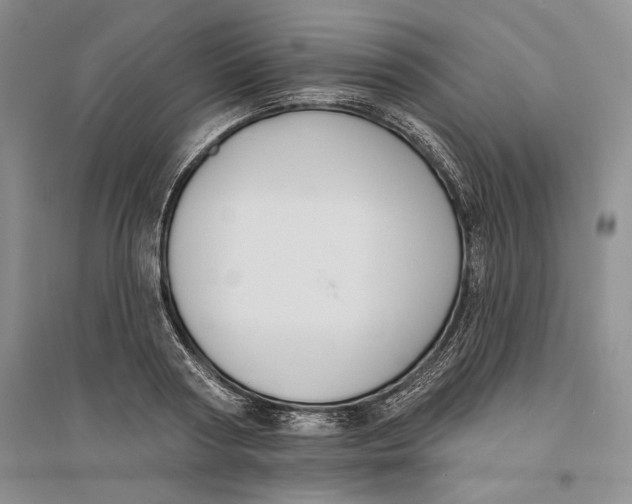 X0000094070794200711091150