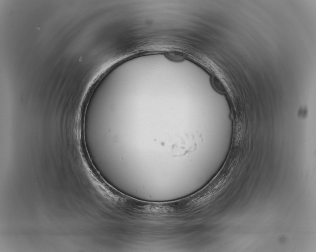 X0000094070795200711091150