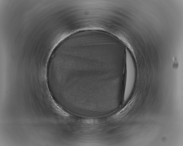 X0000094070797200711091150