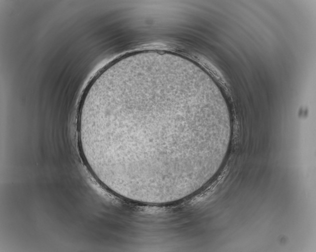 X0000094070800200711091150