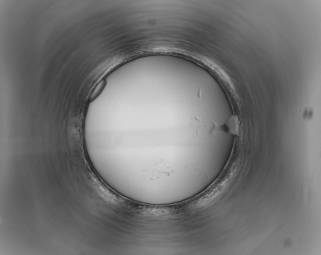 X0000094070801200711091150