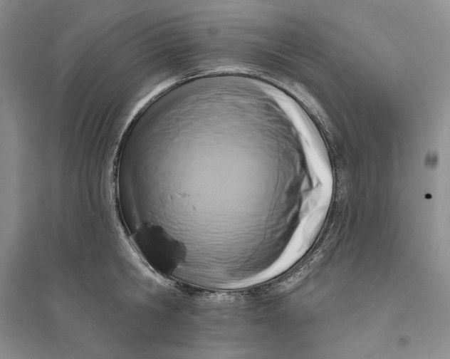 X0000094070806200711091150