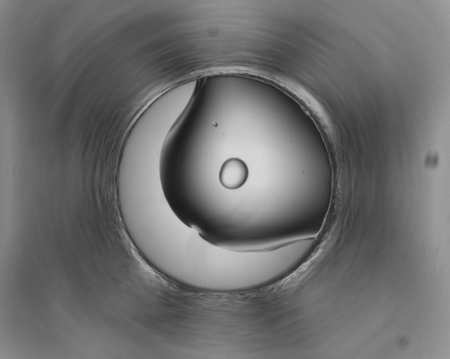 X0000094070809200711091150