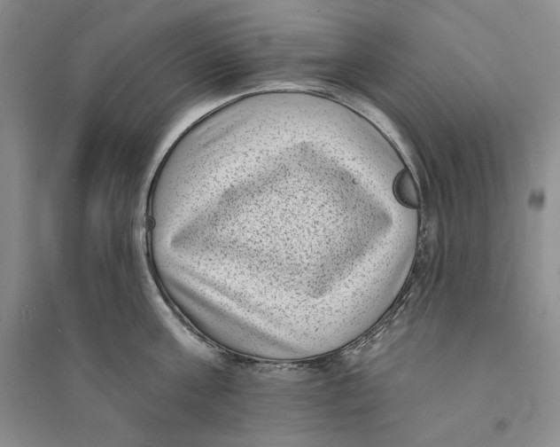 X0000094070811200711091150