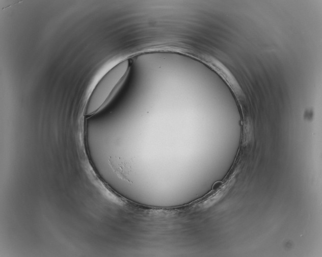 X0000094070812200711091150